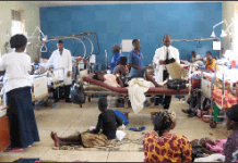 Health-Care Delivery and Burden of Diseases in Nigeria