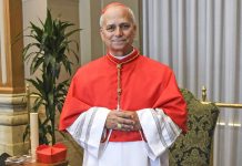 10 Things to Know About New Pope, Robert Francis Prevost, Pope Leo XIV