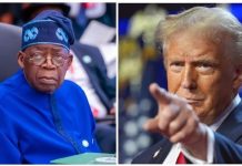 Has Trump Burst Nigeria’s Bubble of Pretence?