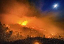 TRUMP: Fire on the Mountain